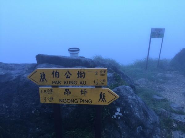 “这样的人”的过去式怎么用英语表达？